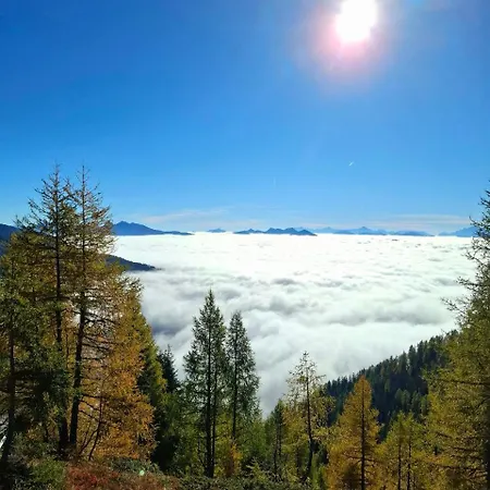 Gruenspecht * Dellach im Drautal